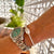 Harlow Pearl Bracelet, Snow & Silver